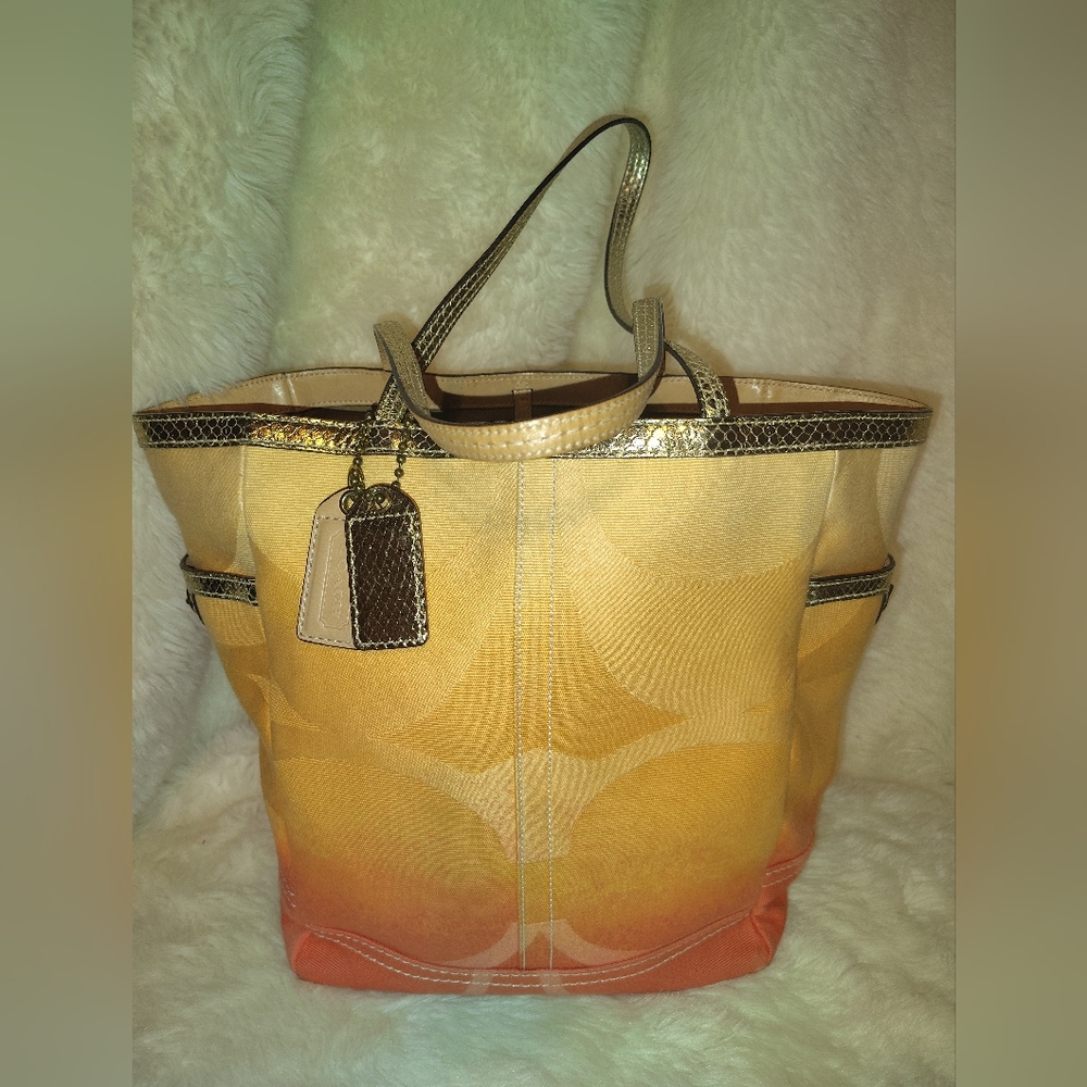 Vintage Coach Tote
